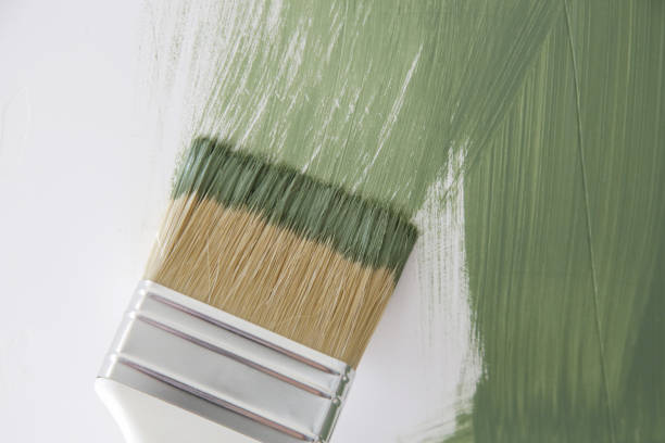 Best Emergency Mold Remediation  in Fruitland Park, FL