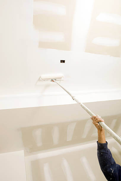 Best Mold Prevention Services  in Fruitland Park, FL