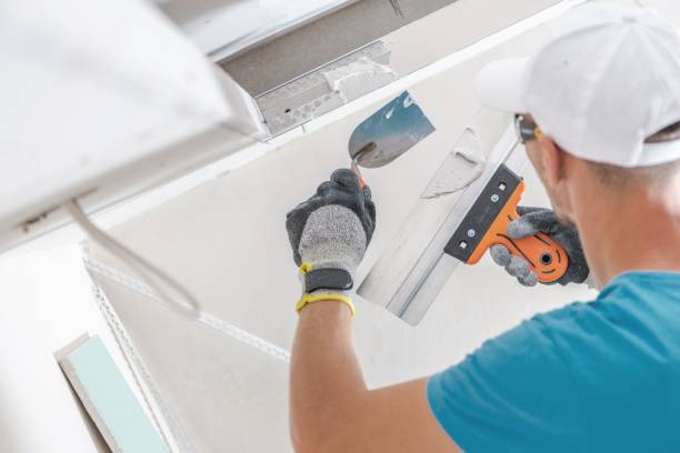 Mold Remediation for Rental Properties in Fruitland Park, FL